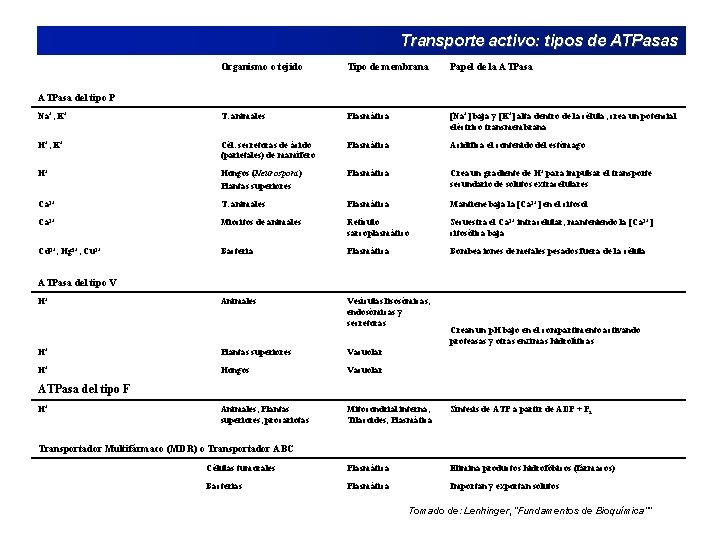 Transporte activo: tipos de ATPasas Organismo o tejido Tipo de membrana Papel de la