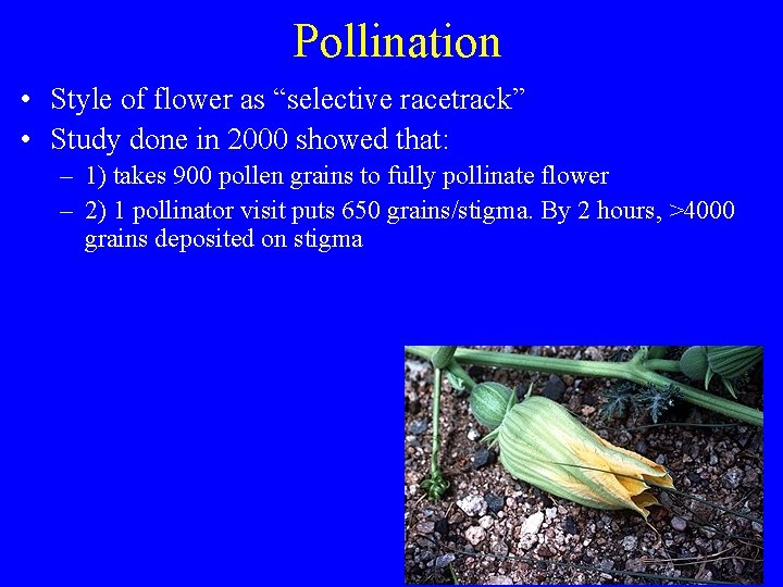 Pollination • Style of flower as “selective racetrack” • Study done in 2000 showed