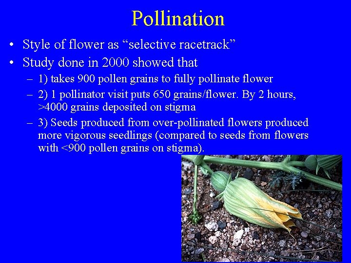 Pollination • Style of flower as “selective racetrack” • Study done in 2000 showed