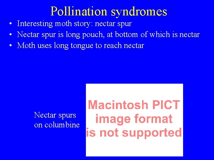 Pollination syndromes • Interesting moth story: nectar spur • Nectar spur is long pouch,