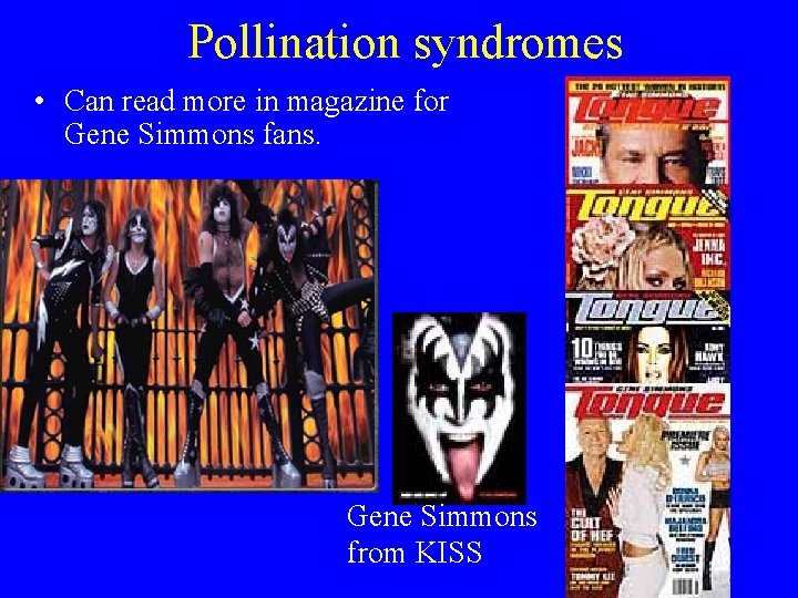 Pollination syndromes • Can read more in magazine for Gene Simmons fans. Gene Simmons