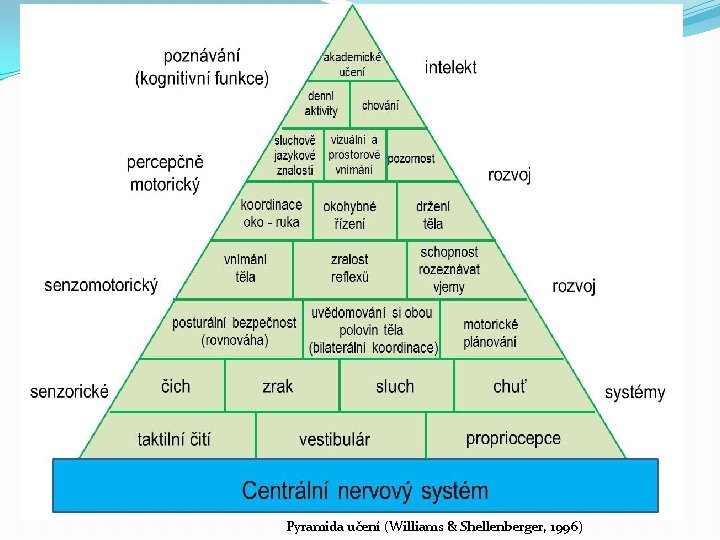 Pyramida učení (Williams & Shellenberger, 1996) 