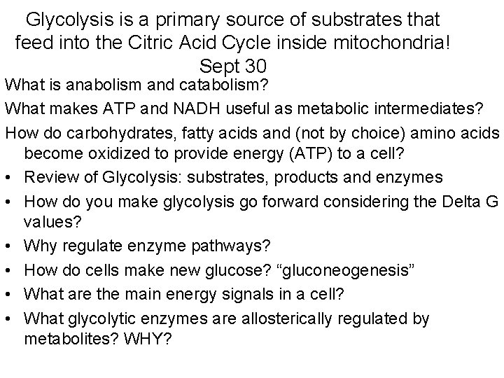 Glycolysis is a primary source of substrates that feed into the Citric Acid Cycle