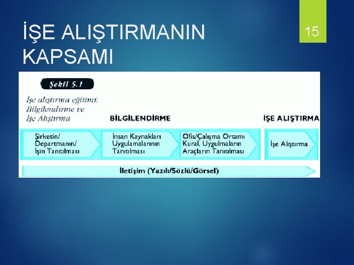 İŞE ALIŞTIRMANIN KAPSAMI 15 