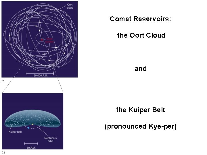 Comet Reservoirs: the Oort Cloud and the Kuiper Belt (pronounced Kye-per) 