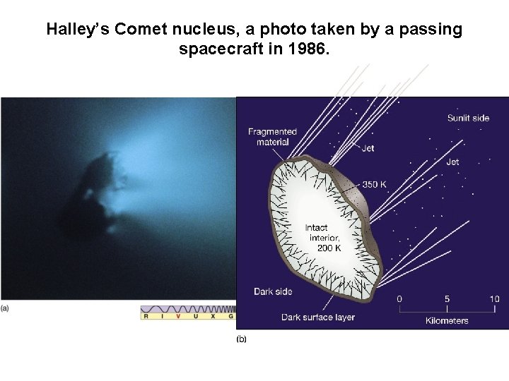 Halley’s Comet nucleus, a photo taken by a passing spacecraft in 1986. 