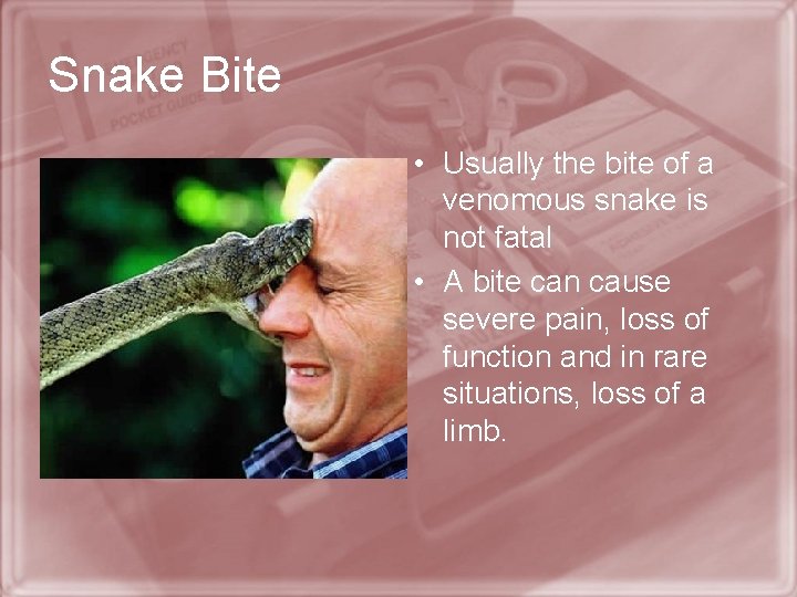 Snake Bite • Usually the bite of a venomous snake is not fatal •