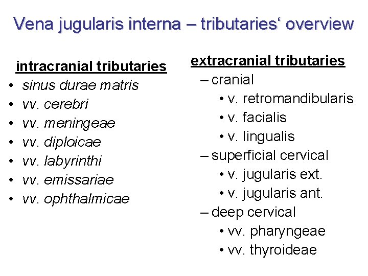 Vena jugularis interna – tributaries‘ overview intracranial tributaries • sinus durae matris • vv. Vena jugularis interna – tributaries‘ overview intracranial tributaries • sinus durae matris • vv.