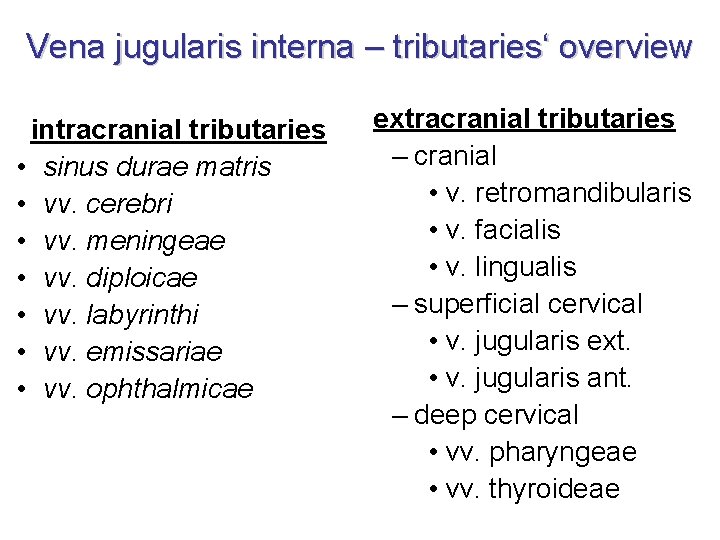 Vena jugularis interna – tributaries‘ overview intracranial tributaries • sinus durae matris • vv.