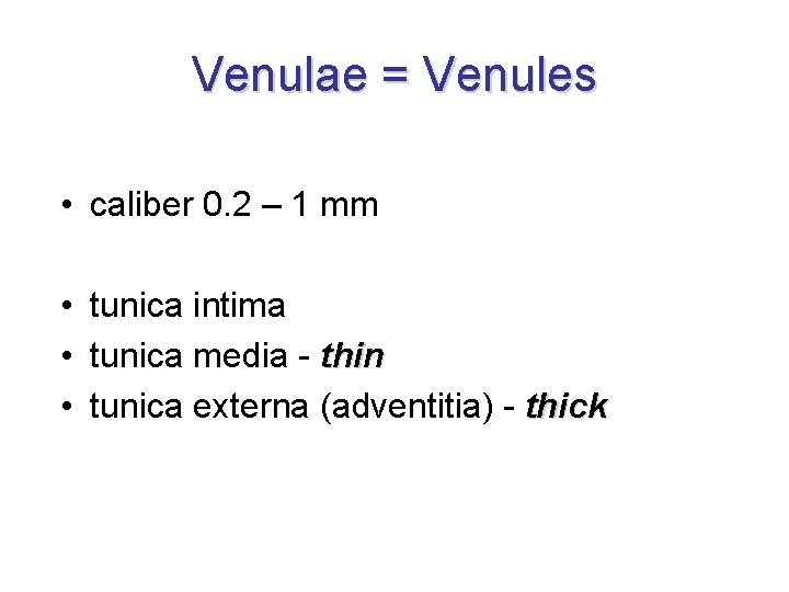 Venulae = Venules • caliber 0. 2 – 1 mm • tunica intima • Venulae = Venules • caliber 0. 2 – 1 mm • tunica intima •