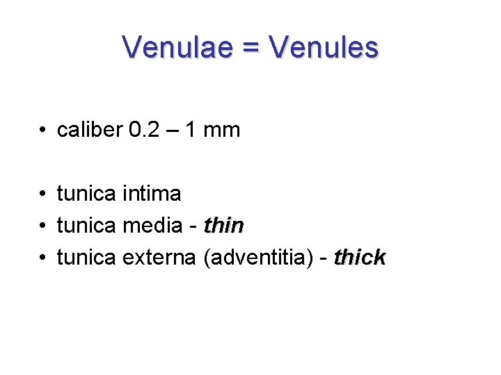 Venulae = Venules • caliber 0. 2 – 1 mm • tunica intima •