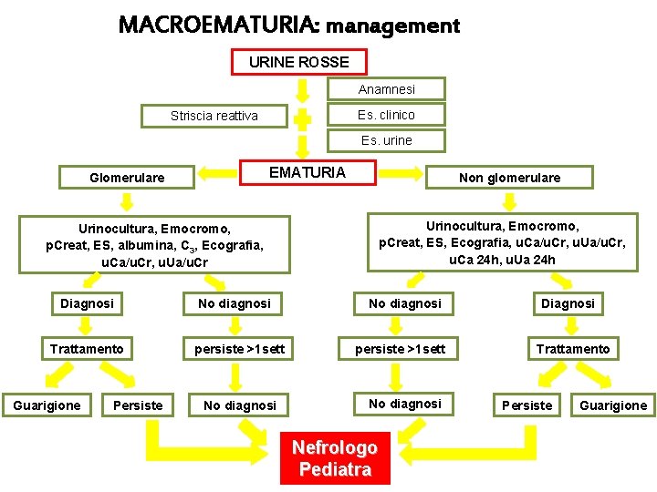 MACROEMATURIA: management URINE ROSSE Anamnesi Es. clinico Striscia reattiva Es. urine EMATURIA Glomerulare Urinocultura,