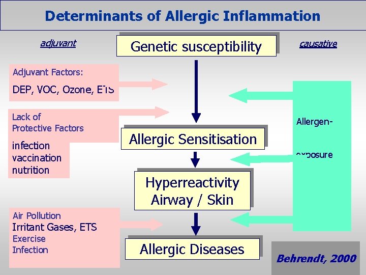 Determinants of Allergic Inflammation adjuvant Genetic susceptibility causative Adjuvant Factors: DEP, VOC, Ozone, ETS