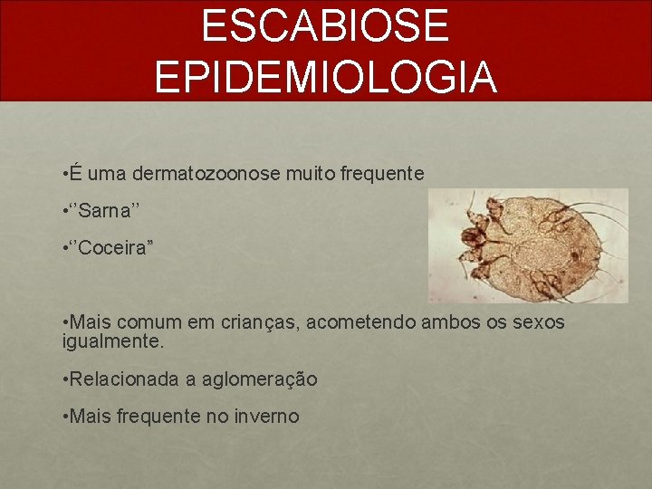 ESCABIOSE EPIDEMIOLOGIA • É uma dermatozoonose muito frequente • ‘’Sarna’’ • ‘’Coceira” • Mais