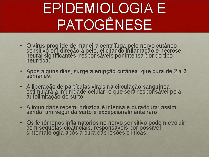 EPIDEMIOLOGIA E PATOGÊNESE • O vírus progride de maneira centrífuga pelo nervo cutâneo sensitivo