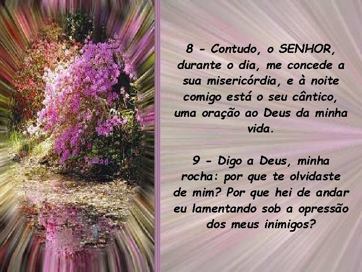 8 - Contudo, o SENHOR, durante o dia, me concede a sua misericórdia, e