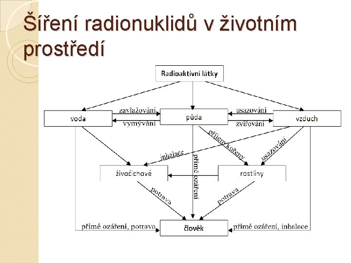 Šíření radionuklidů v životním prostředí 