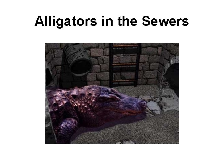 Alligators in the Sewers 