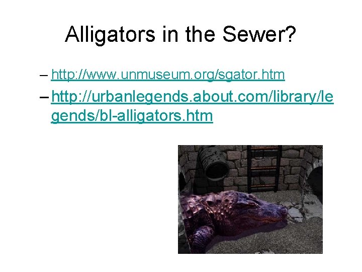 Alligators in the Sewer? – http: //www. unmuseum. org/sgator. htm – http: //urbanlegends. about.