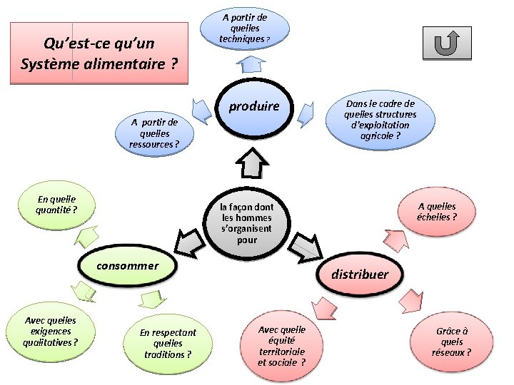 Qu’est-ce qu’un Système alimentaire ? A partir de quelles techniques ? produire A partir