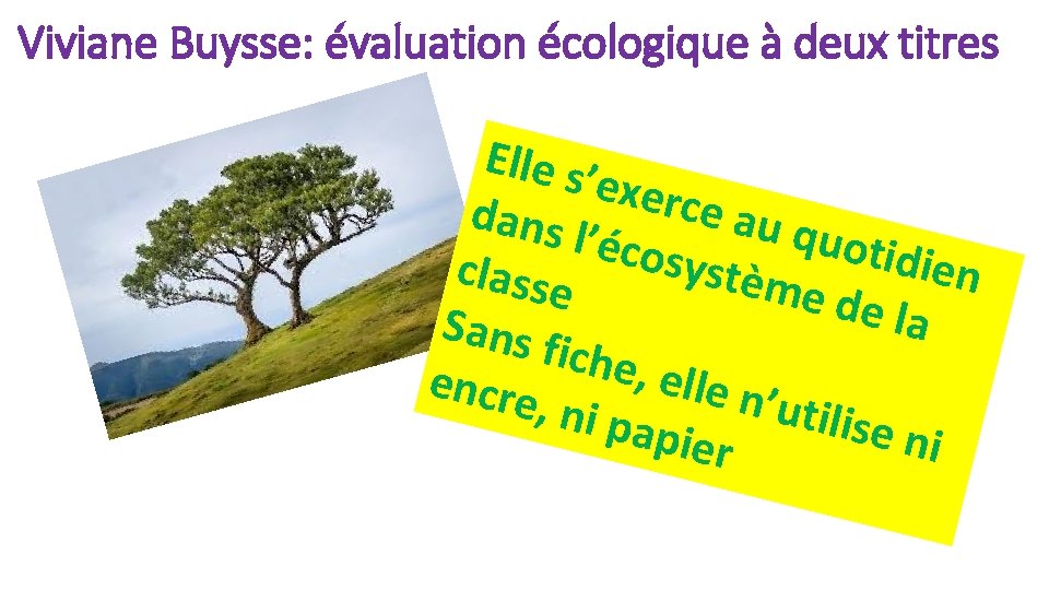 Viviane Buysse: évaluation écologique à deux titres Elle s ’exer ce au dans quoti