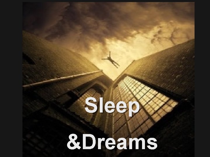 Sleep &Dreams 