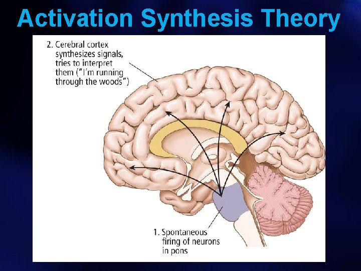 Activation Synthesis Theory 