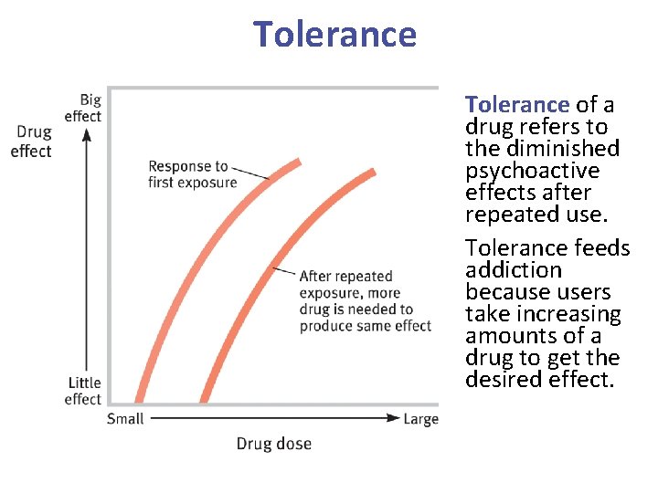 Tolerance of a drug refers to the diminished psychoactive effects after repeated use. Tolerance
