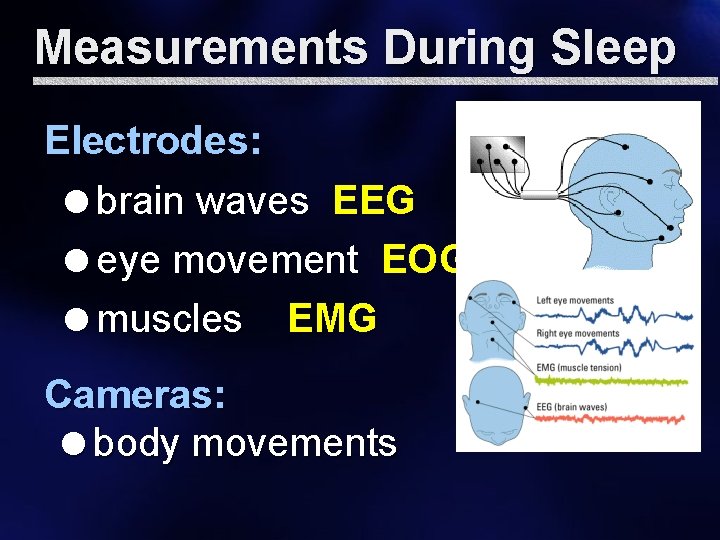 Measurements During Sleep Electrodes: =brain waves EEG =eye movement EOG =muscles EMG Cameras: =body