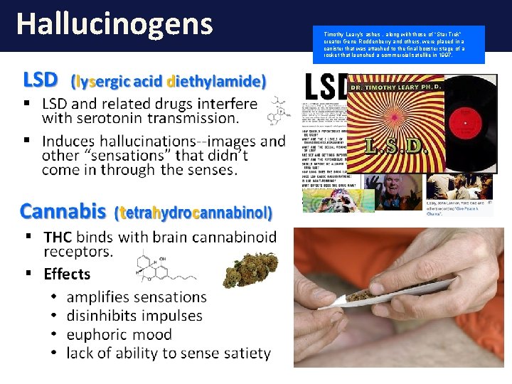 Hallucinogens Timothy Leary’s ashes , along with those of “Star Trek” creator Gene Roddenberry