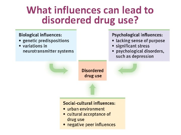 What influences can lead to disordered drug use? 