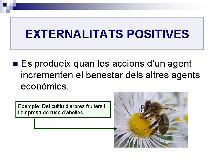 EXTERNALITATS POSITIVES n Es produeix quan les accions d’un agent incrementen el benestar dels