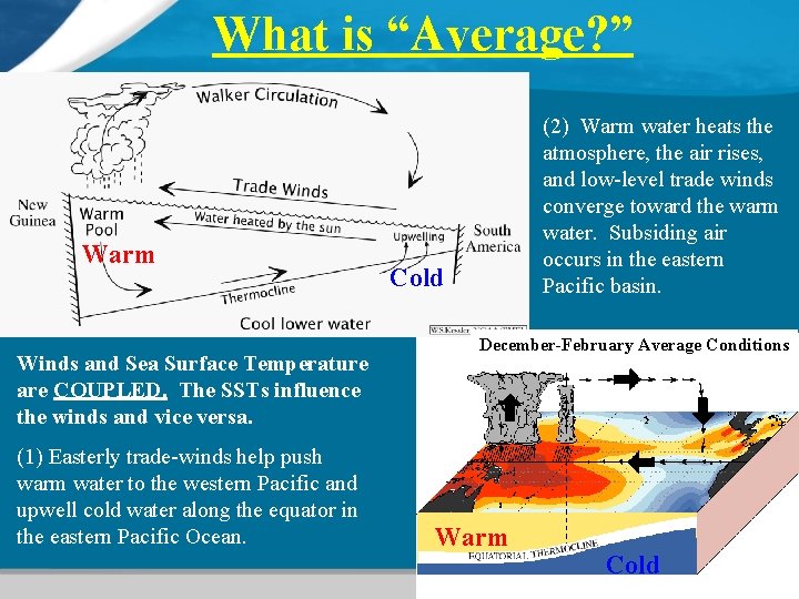 What is “Average? ” Warm Winds and Sea Surface Temperature are COUPLED. The SSTs
