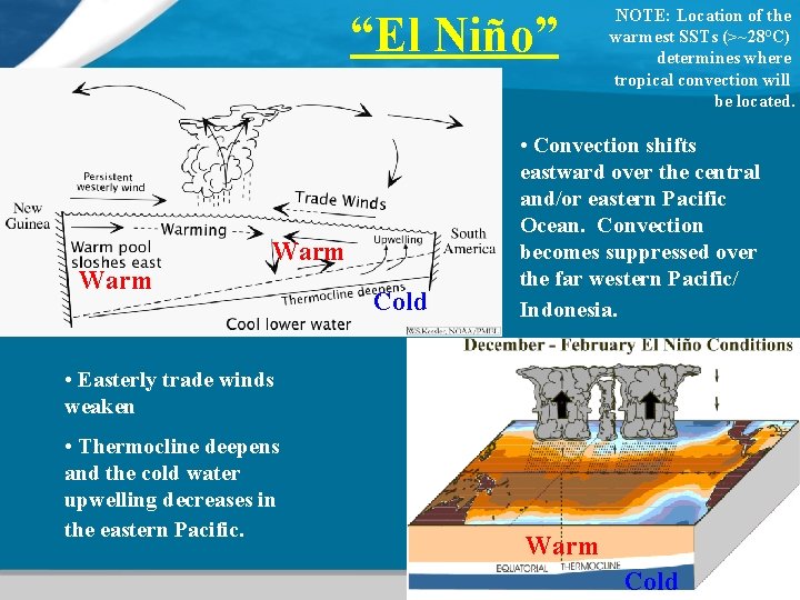 “El Niño” Warm Cold NOTE: Location of the warmest SSTs (>~28°C) determines where tropical