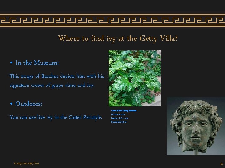Where to find ivy at the Getty Villa? • In the Museum: This image Where to find ivy at the Getty Villa? • In the Museum: This image