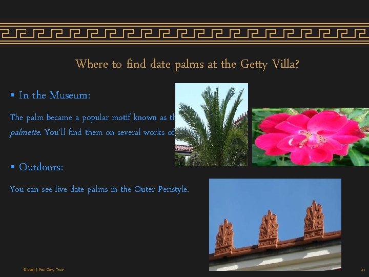 Where to find date palms at the Getty Villa? • In the Museum: The Where to find date palms at the Getty Villa? • In the Museum: The