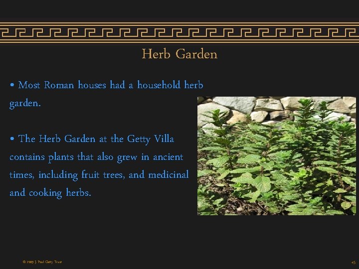 Herb Garden • Most Roman houses had a household herb garden. • The Herb Herb Garden • Most Roman houses had a household herb garden. • The Herb