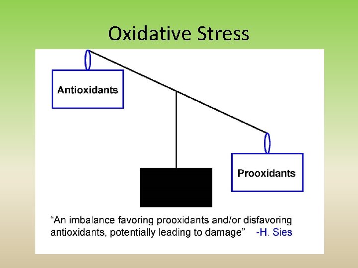 Oxidative Stress 