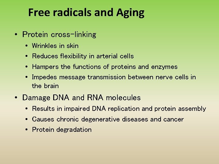 Free radicals and Aging • Protein cross-linking • • Wrinkles in skin Reduces flexibility