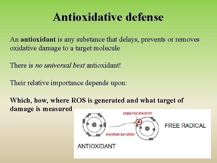 Antioxidative defense An antioxidant is any substance that delays, prevents or removes oxidative damage