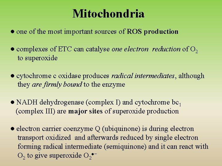 Mitochondria ● one of the most important sources of ROS production ● complexes of