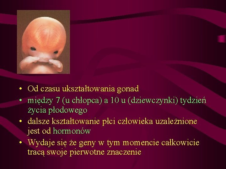  • Od czasu ukształtowania gonad • między 7 (u chłopca) a 10 u