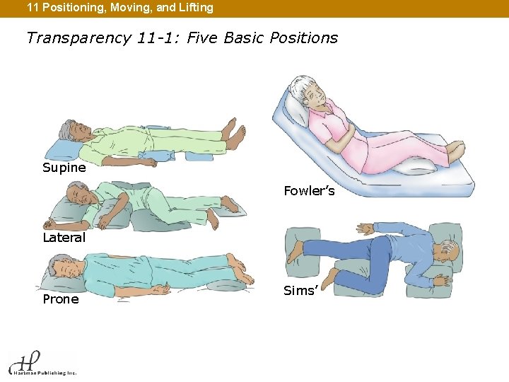 11 Positioning, Moving, and Lifting Transparency 11 -1: Five Basic Positions Supine Fowler’s Lateral