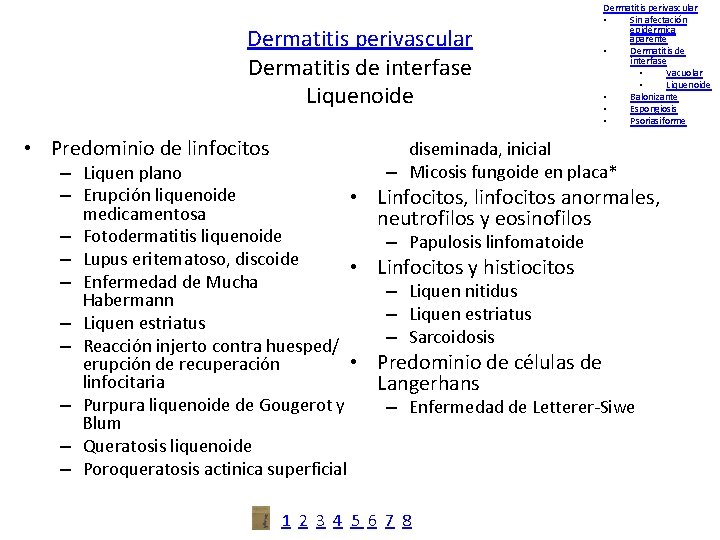 Dermatitis perivascular Dermatitis de interfase Liquenoide • Predominio de linfocitos – Liquen plano –