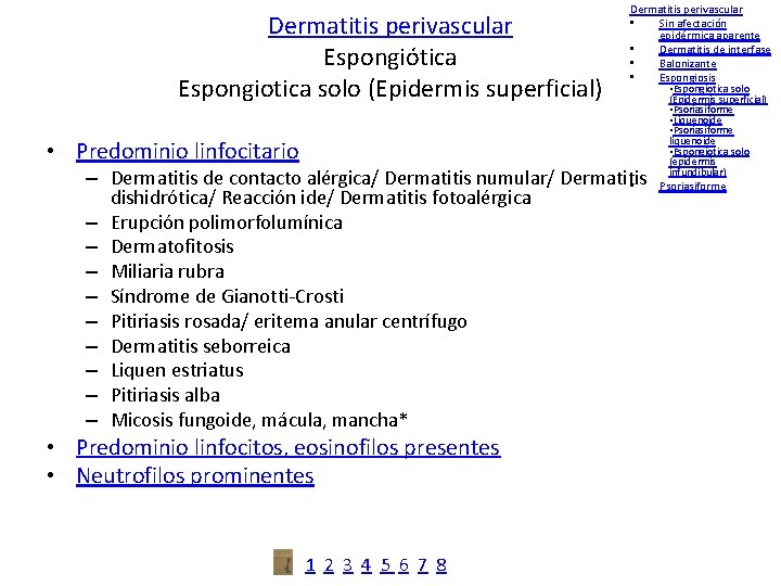 Dermatitis perivascular Espongiótica Espongiotica solo (Epidermis superficial) • Predominio linfocitario Dermatitis perivascular • Sin