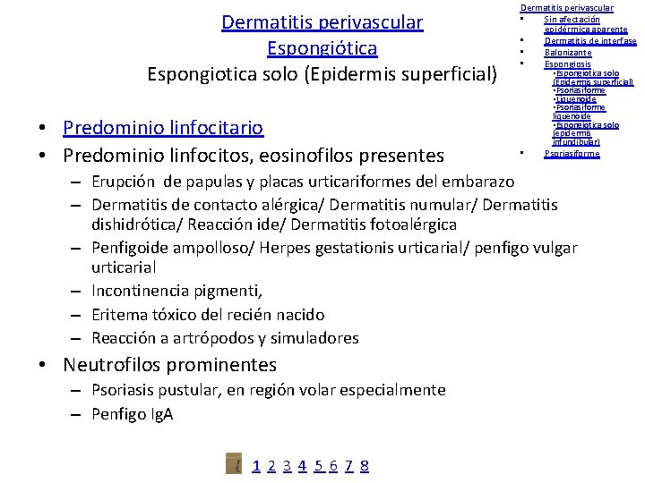 Dermatitis perivascular Espongiótica Espongiotica solo (Epidermis superficial) • Predominio linfocitario • Predominio linfocitos, eosinofilos