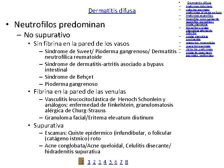  • Dermatitis difusa • Neutrofilos predominan – No supurativo – – – •