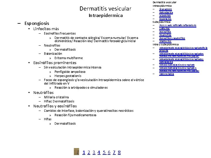 Dermatitis vesicular Intraepidermica – Espongiosis Dermatitis vesicular Intraepidermica – – Espongiosis Balonización Acantolisis Separación