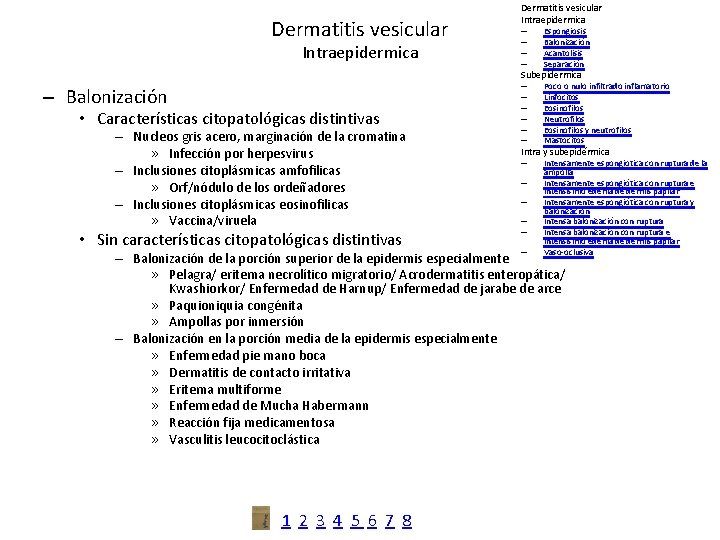 Dermatitis vesicular Intraepidermica – – Espongiosis Balonización Acantolisis Separación Subepidermica – Balonización • Características