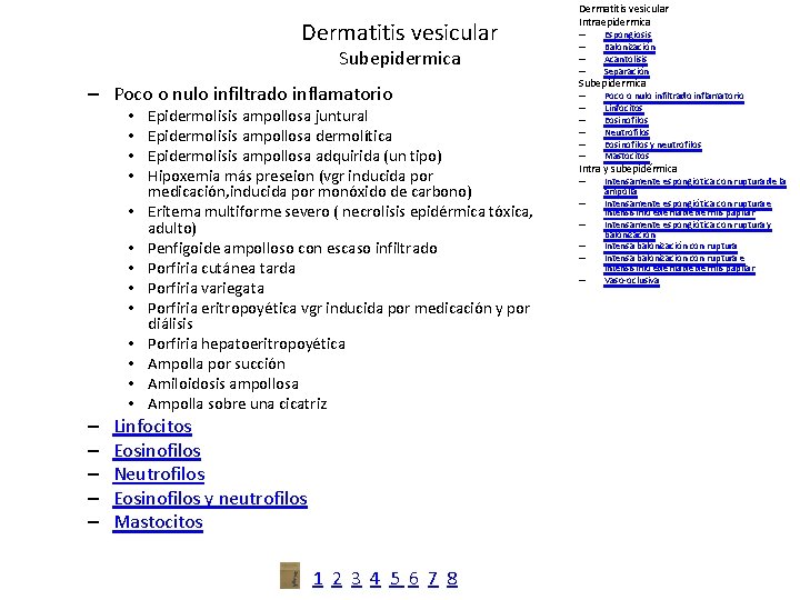 Dermatitis vesicular Subepidermica – Poco o nulo infiltrado inflamatorio • • • • –